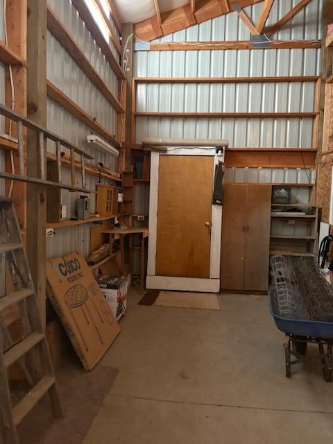 Ponderosa Pines - Land