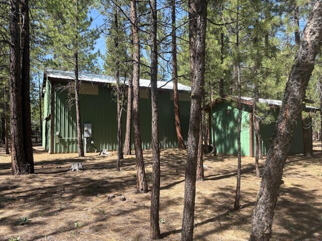 Ponderosa Pines - Land