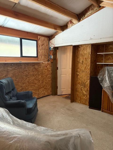 Ponderosa Pines - Land