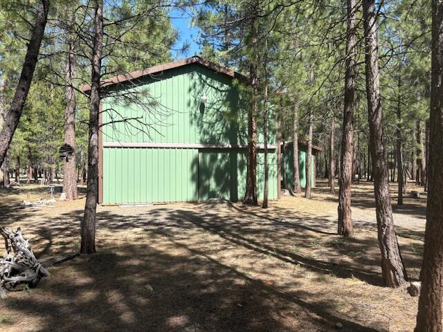 Ponderosa Pines - Land