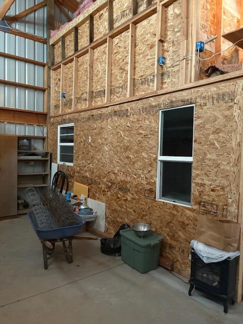 Ponderosa Pines - Land