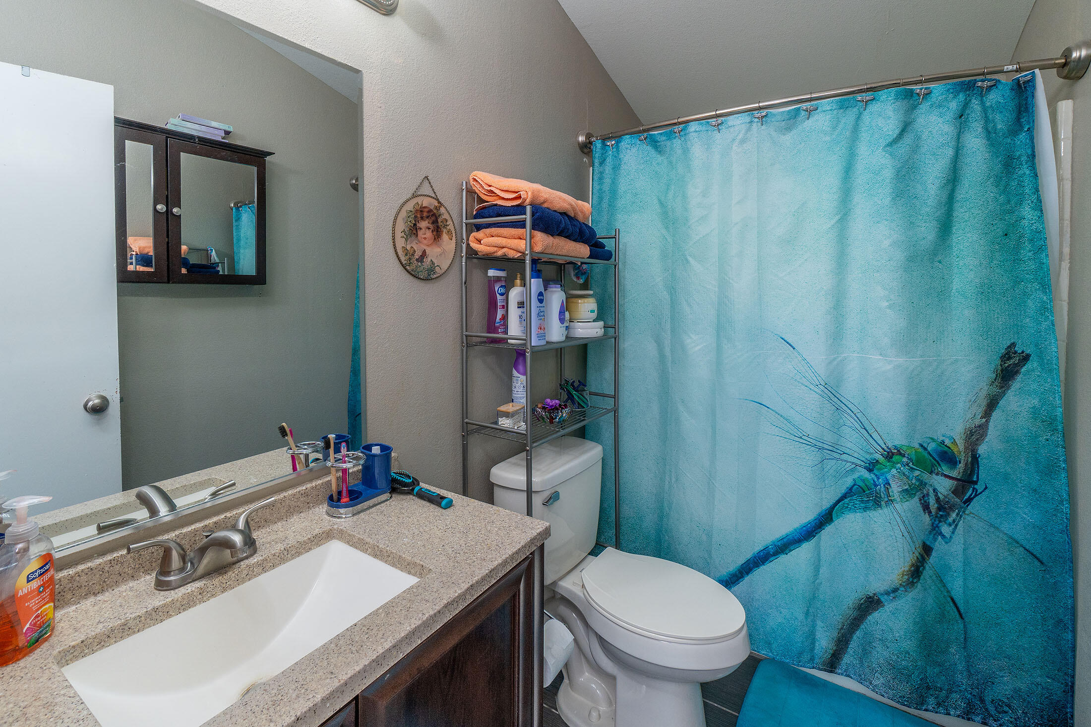 Valley Brook - Residential