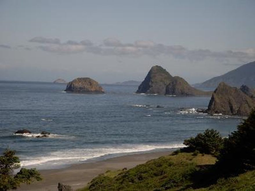 Located just north of Gold Beach, this 25.4 acre parcel is truly unque. Homesite is on the top of bluff with views north and south for miles. Zoning shows a Bed & Breakfast is possible alternative use. Property has city water meter for city water use. No water line to property at this time. This is truly breath taking. Like no other ocean mountain property.