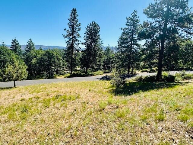 Running YResort - Land