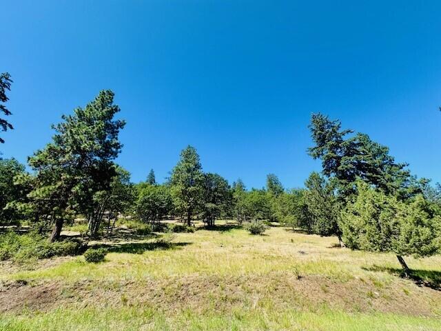 Running YResort - Land