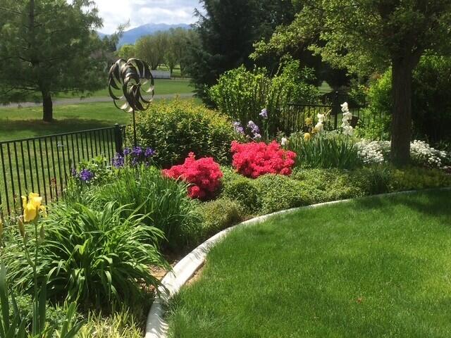 Island Pointe Subdivision - Residential