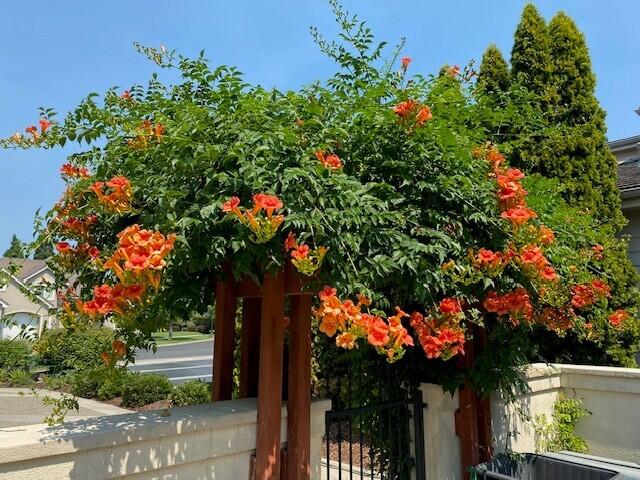 Island Pointe Subdivision - Residential