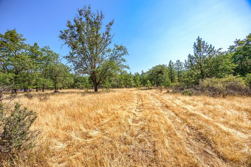 Beautiful, level 4.37 acre lot in North Valley waiting for your new home! Close to schools and just a few minutes to Grants Pass, this lot is nicely treed but very open.  It's a blank palette just waiting for your dreams! Time to build the home you have always wanted.  Don't let this one get away!