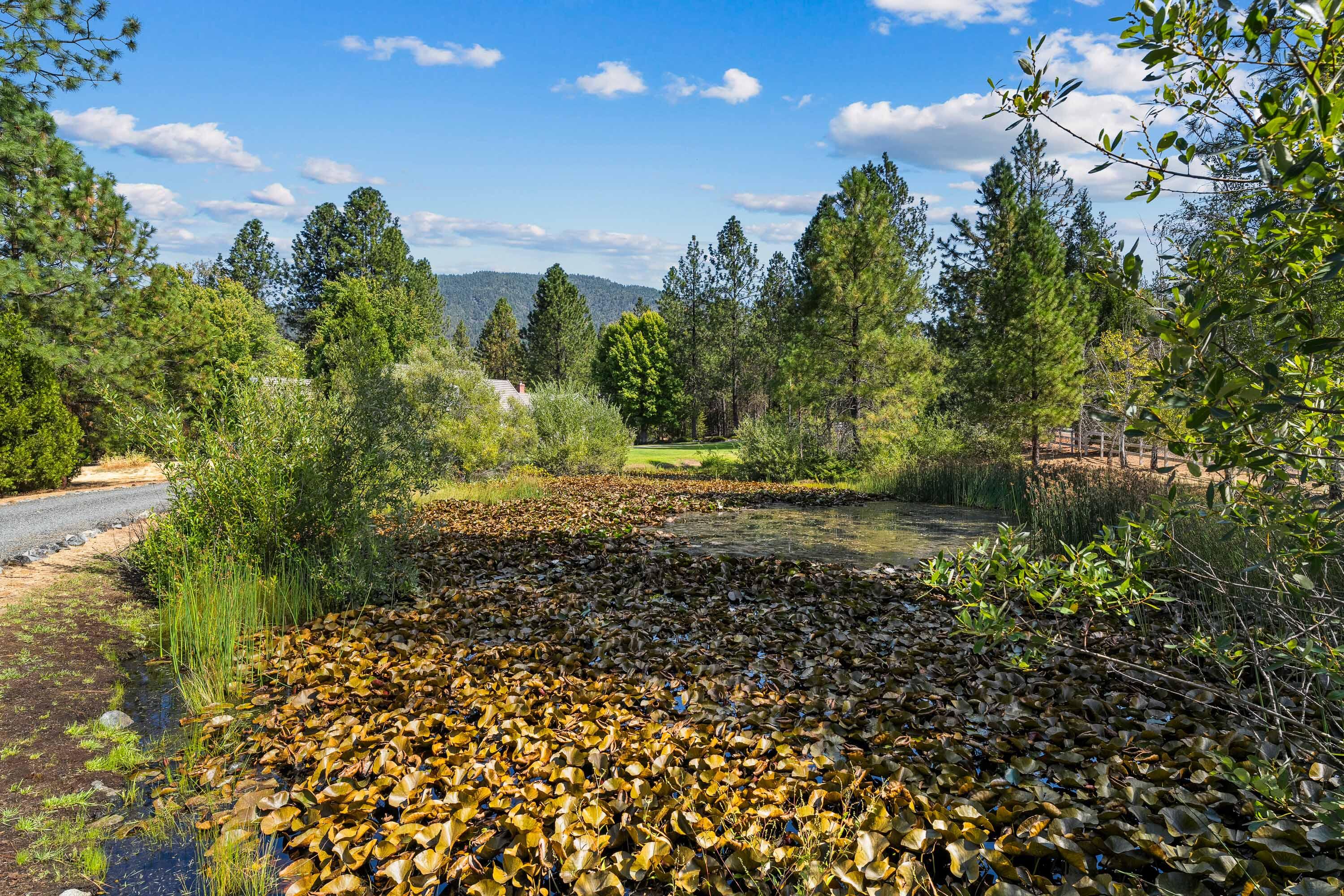 Country Hills Estates - Residential