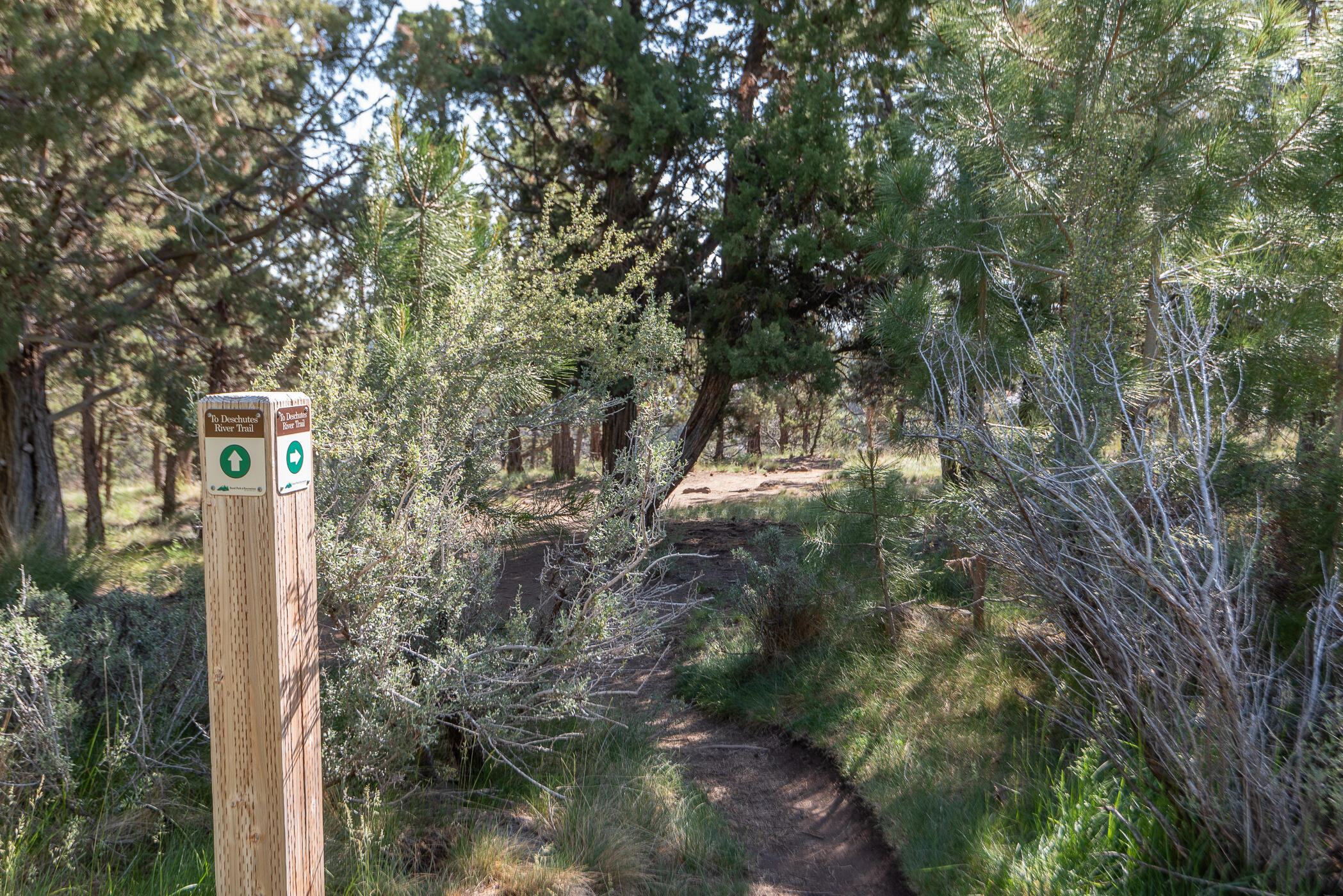 Awbrey Park - Residential