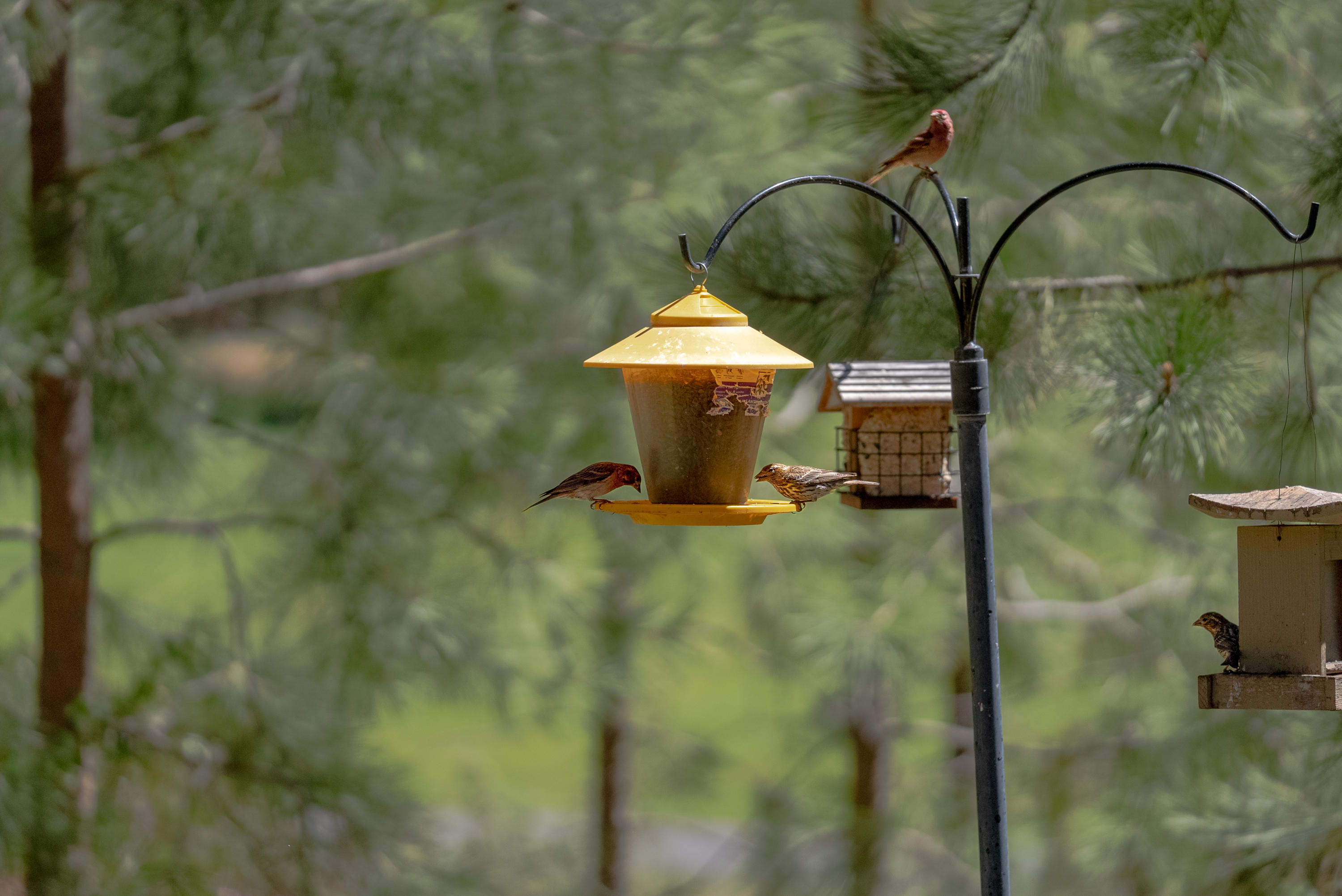 7th Mtn Golf Village - Residential