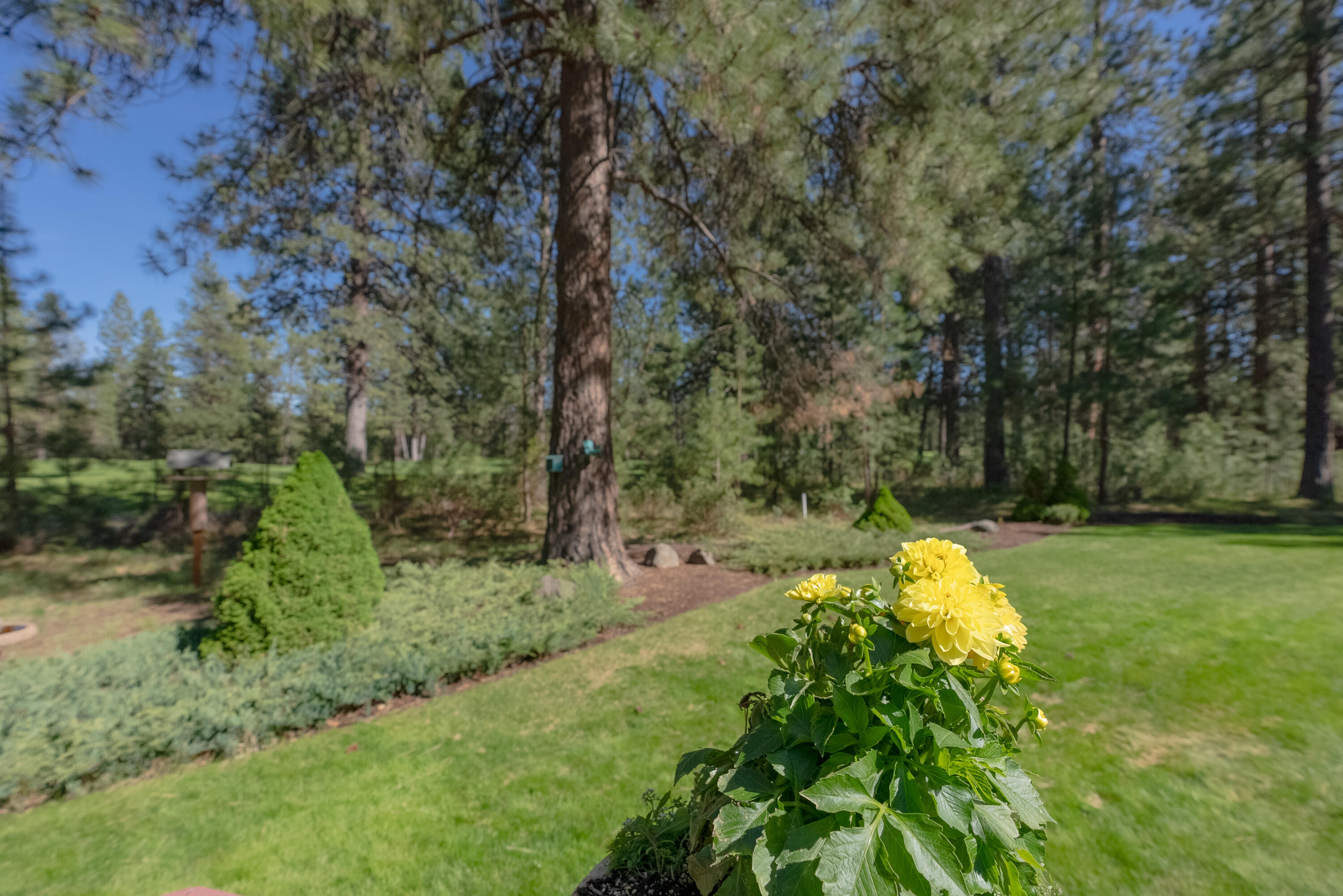 7th Mtn Golf Village - Residential