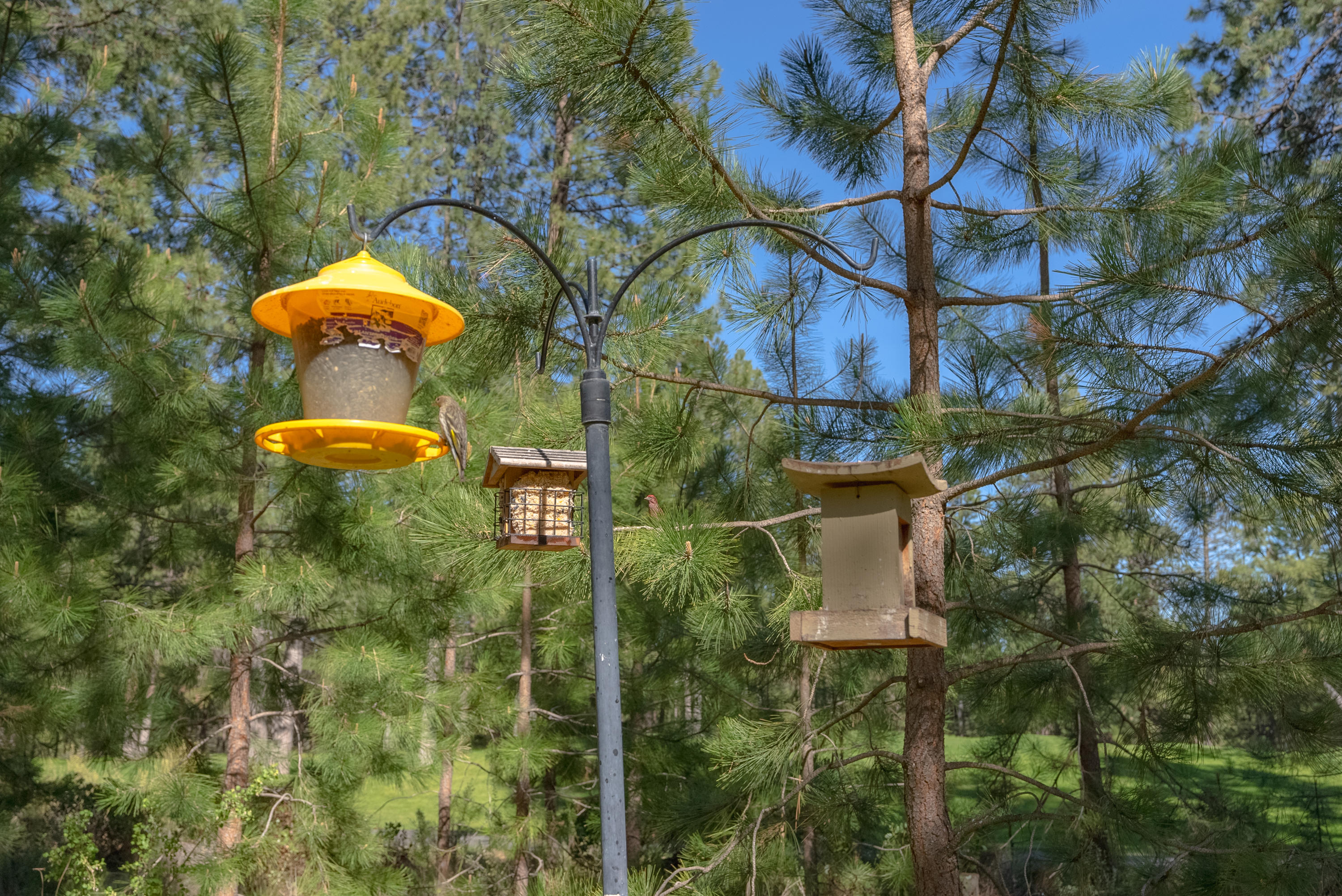 7th Mtn Golf Village - Residential