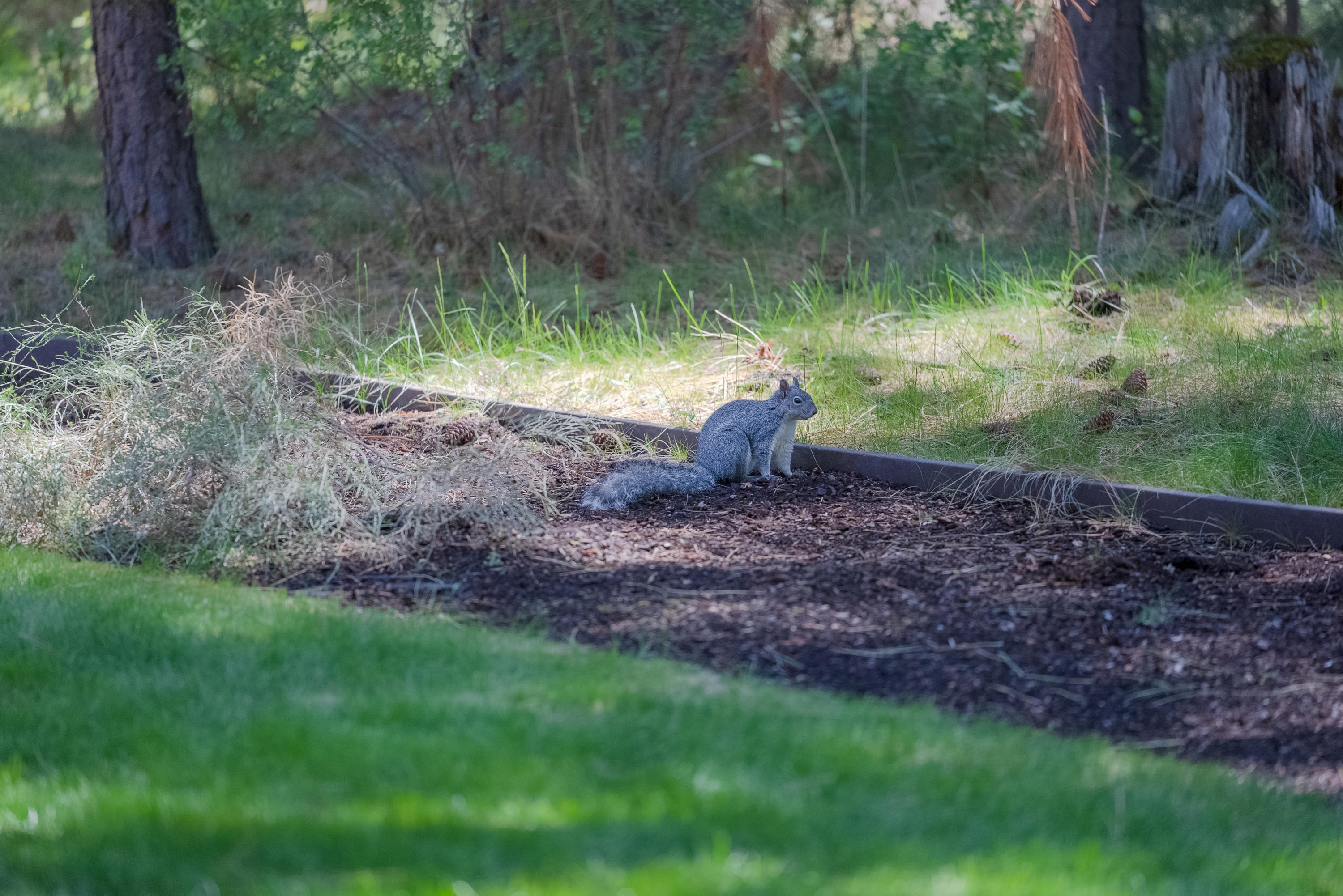 7th Mtn Golf Village - Residential