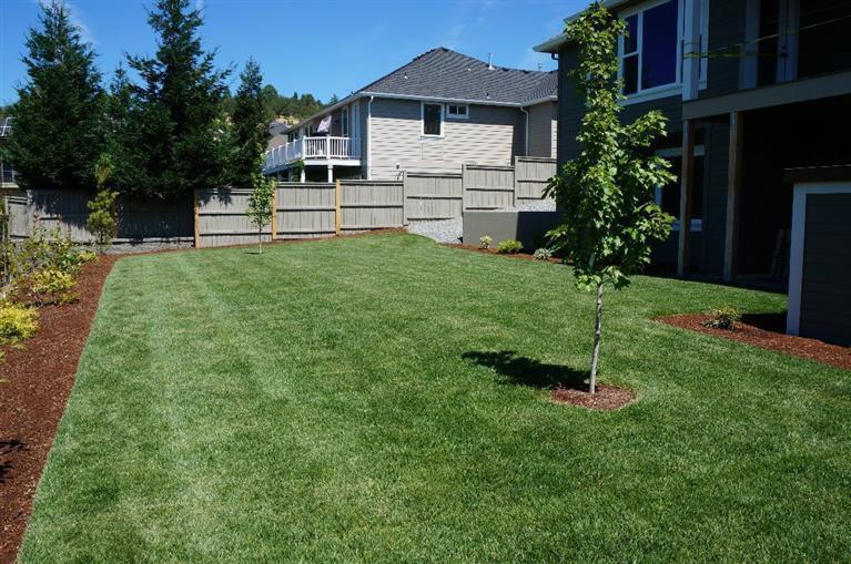 Summerfield - Residential