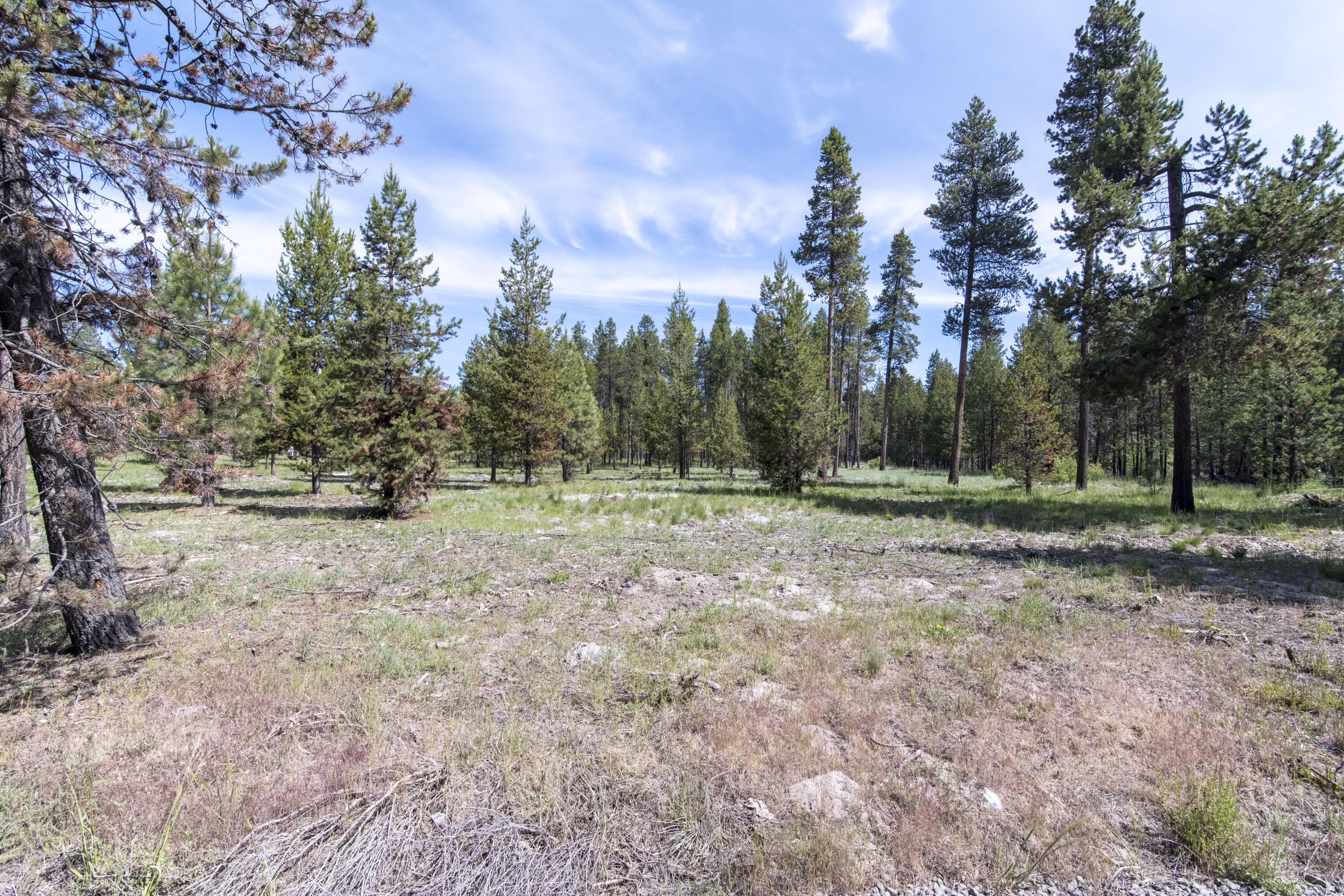 17168 Helbrock Drive 1-4