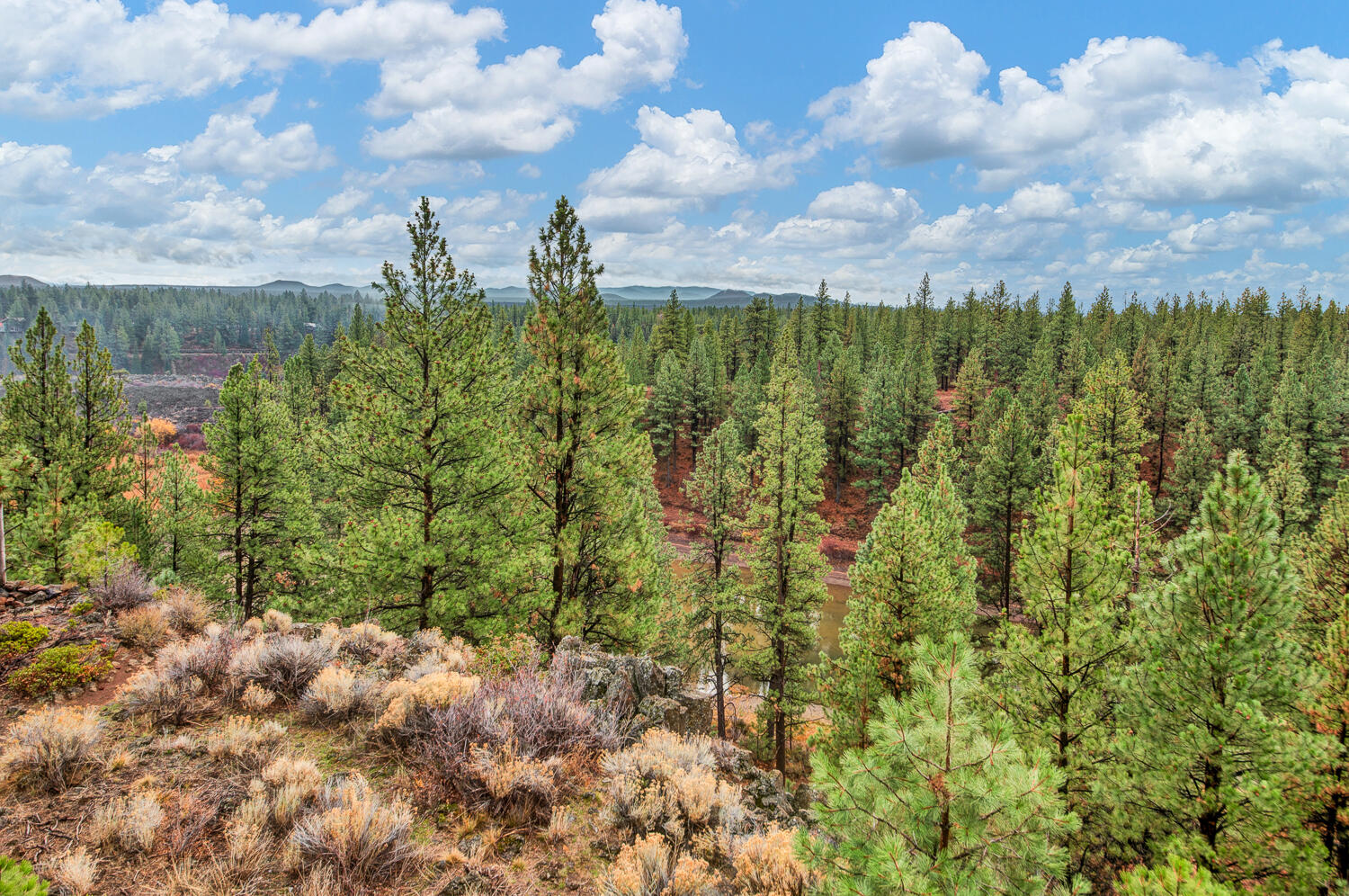 Inn Of The 7th - Residential