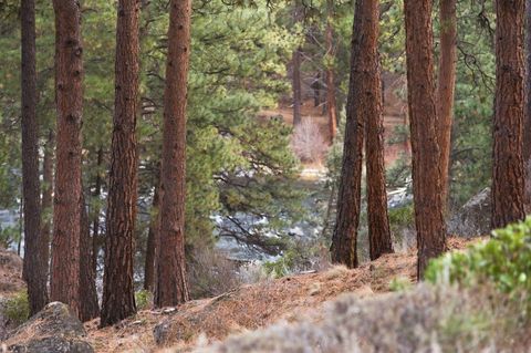 Tiny photo for 61299 Big Eddy Circle, Bend, OR 97702 (MLS # 220214398)