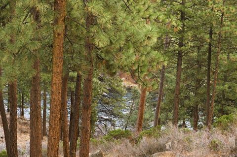 Tiny photo for 61299 Big Eddy Circle, Bend, OR 97702 (MLS # 220214398)