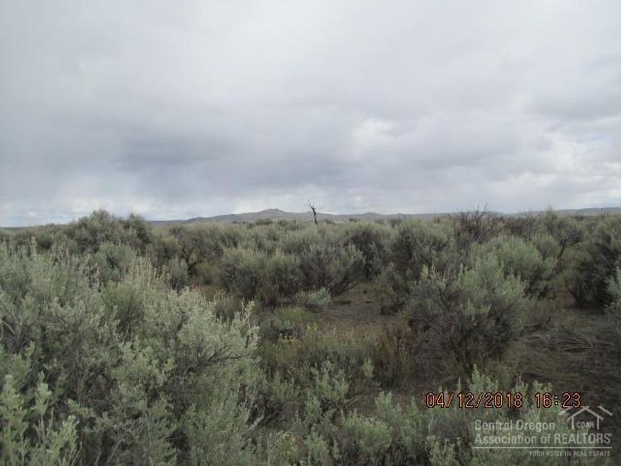 Looking for a get-a'way? Here is a nice 20+/- acre parcel that is off the grid. Bring your ideas and make this your own place to escape the hustle and bustle of the city. Would make a nice camp too. Conditional Use Permit likely required to build. Buyer responsible to do their own due diligence. Beautiful Sunrises and Sunsets adorn the Christmas Valley Area. The town site boasts a golf course, lake, park, library and more. There are multiple restaurants, motels, medical clinic, EMT Services, & Airport.