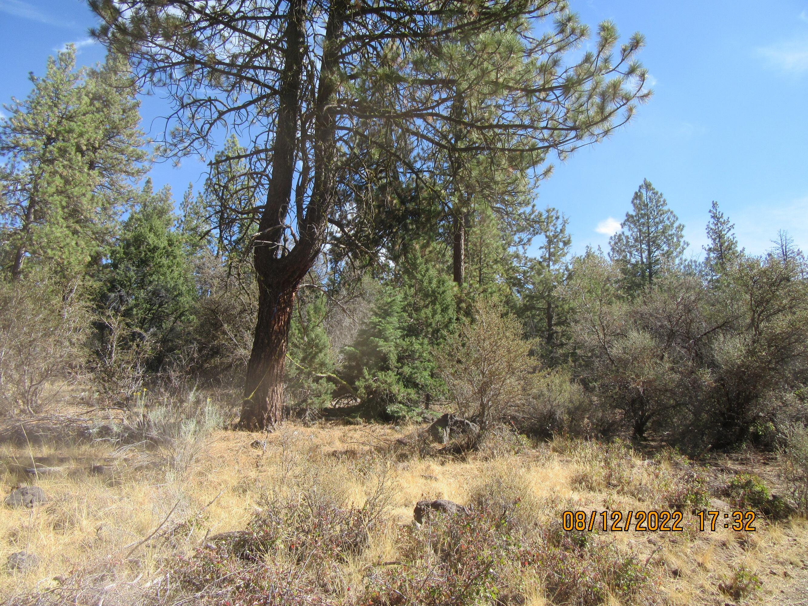 Klamath Falls Forest Estates Hwy 66 Unit Plat 4 - Land
