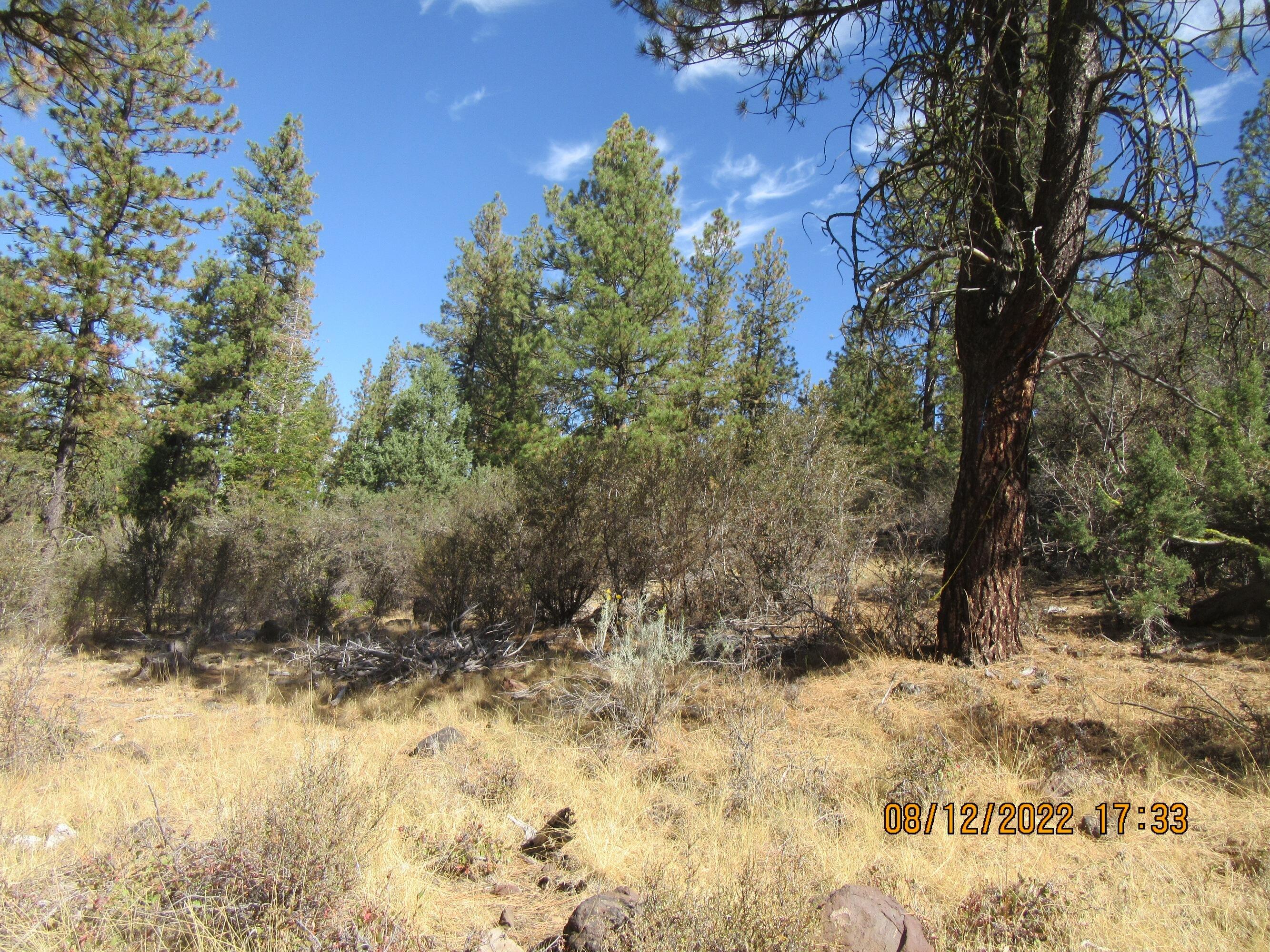 Klamath Falls Forest Estates Hwy 66 Unit Plat 4 - Land