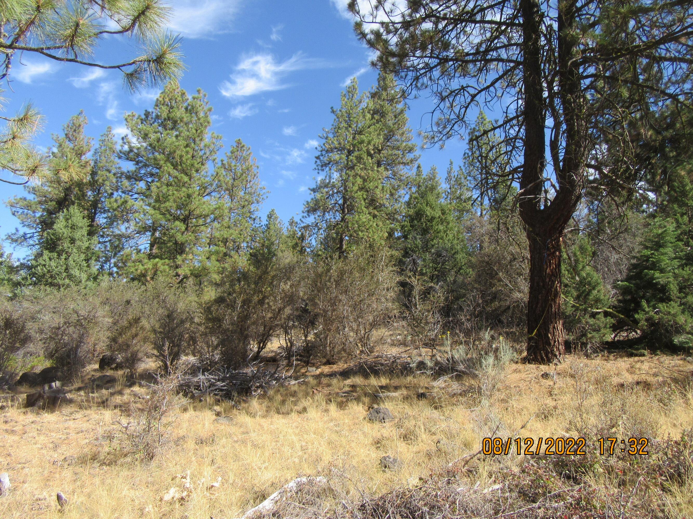 Klamath Falls Forest Estates Hwy 66 Unit Plat 4 - Land