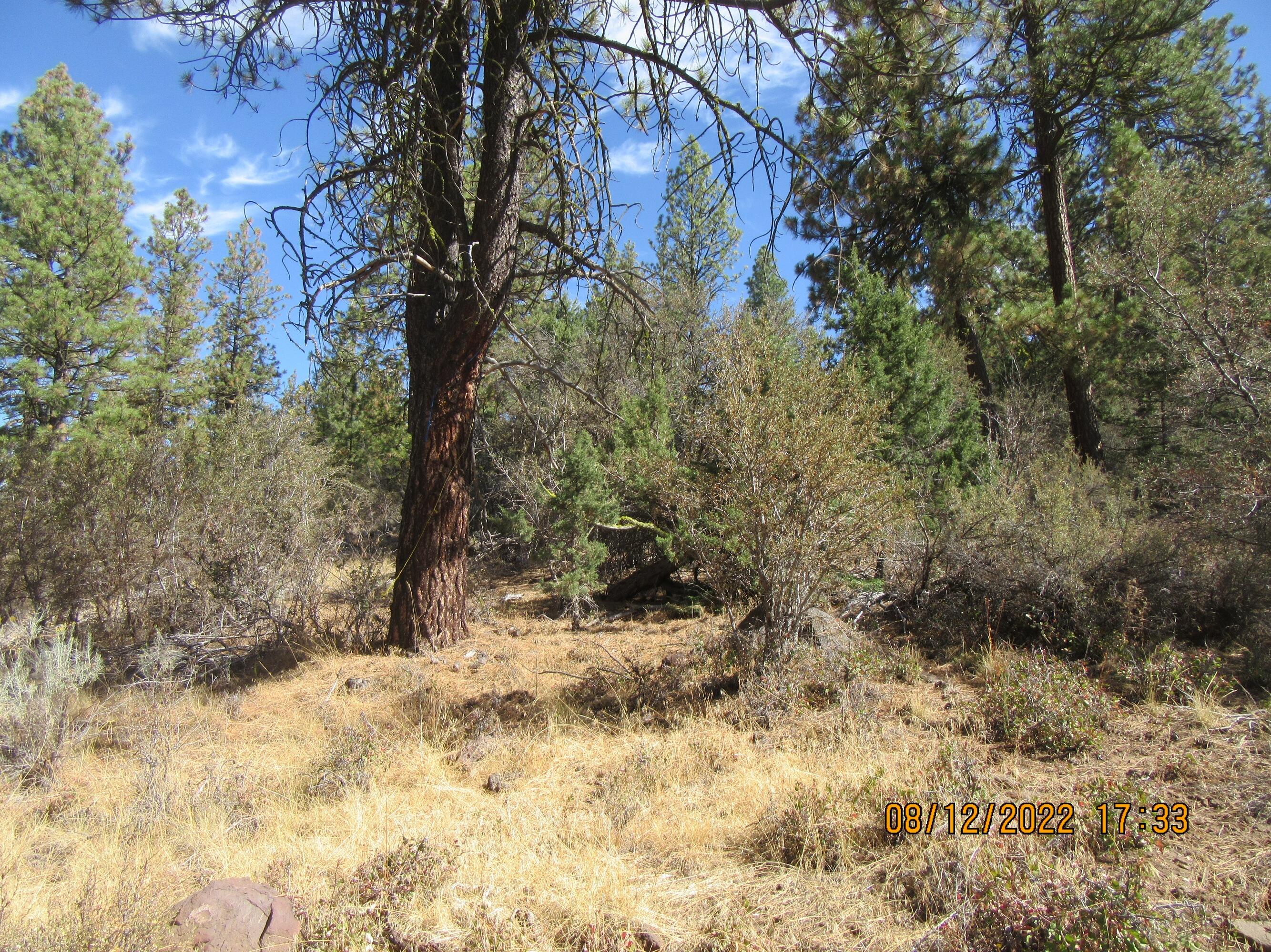 Klamath Falls Forest Estates Hwy 66 Unit Plat 4 - Land