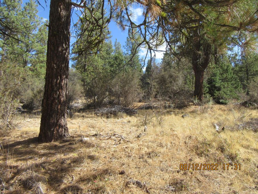 5.40 Acres  Lots of Large Beautiful trees!  Property appears to be  mainly  Pine, Fir & Cedar  trees from the road. In Residential subdivision off of Hwy 140. Previously approved for septic system. This area survived the fire that came through part of subdivision a couple yrs ago. There is electricity in the neighborhood. Lot 2 Blk 84 Tiger 7.82 Acres (MLS220186919) is also listed for sale and both lots meet in the middle in the back of both lots. Buy together for a total of  13.22 acres!