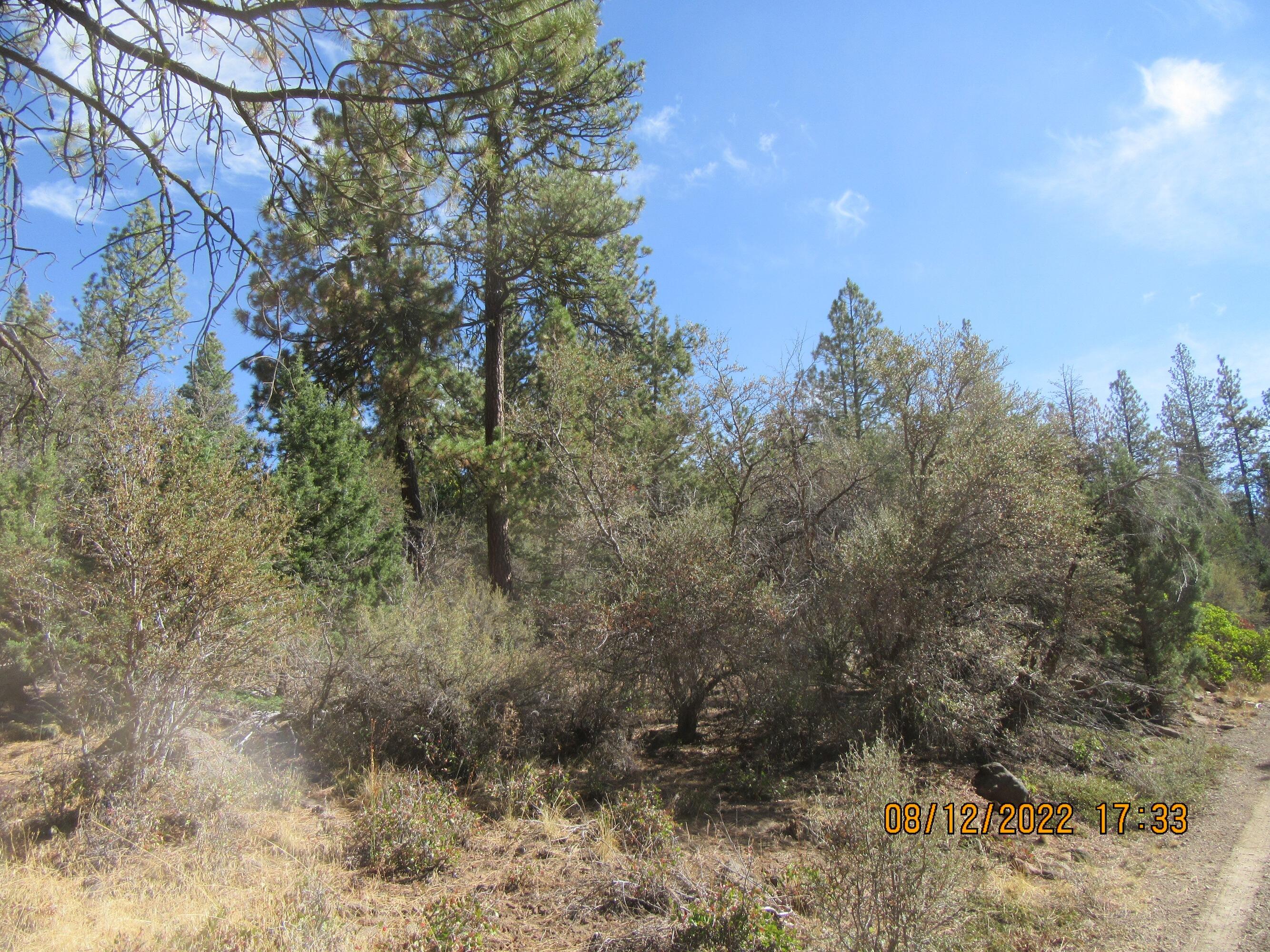 Klamath Falls Forest Estates Hwy 66 Unit Plat 4 - Land