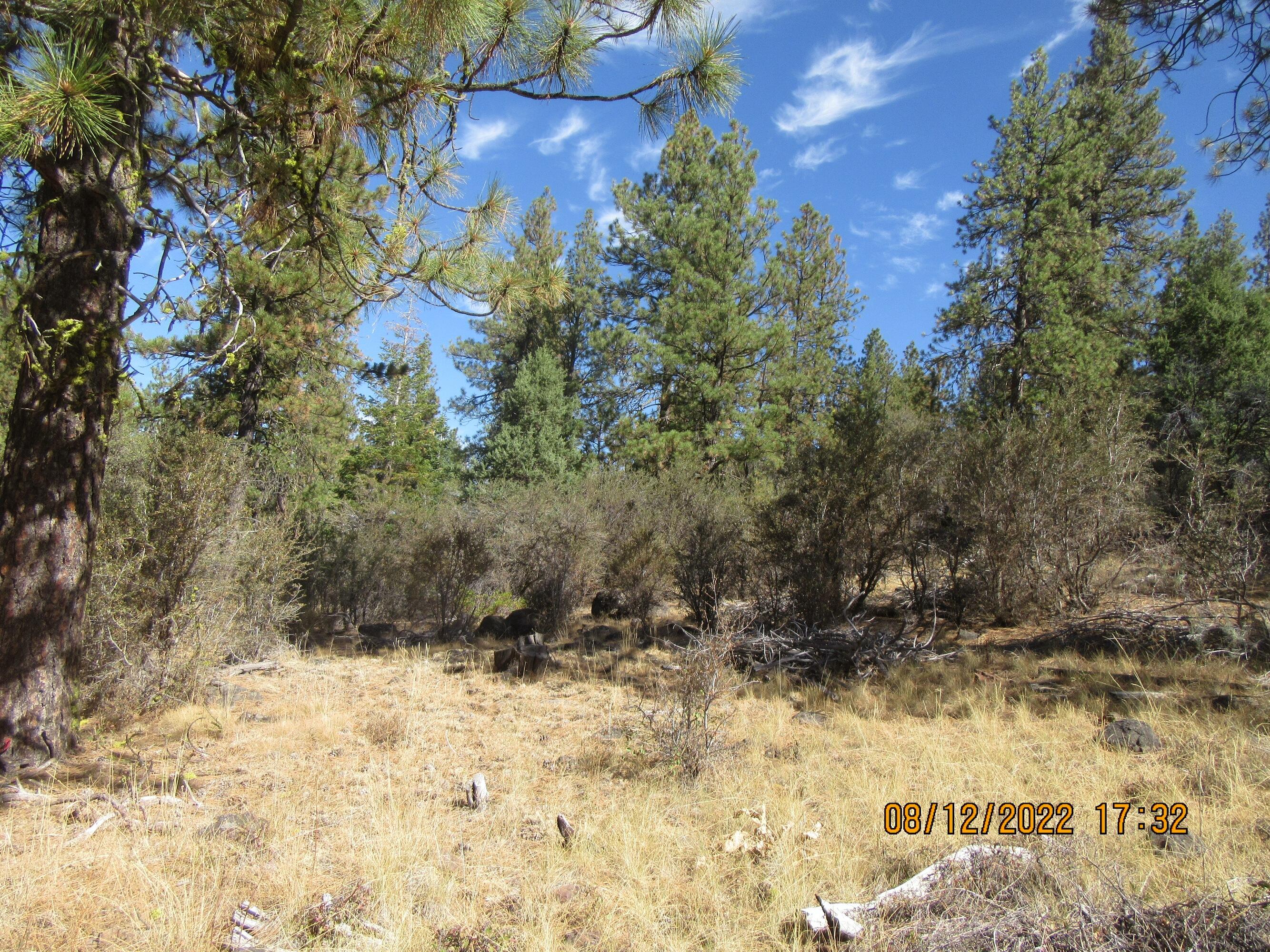Klamath Falls Forest Estates Hwy 66 Unit Plat 4 - Land