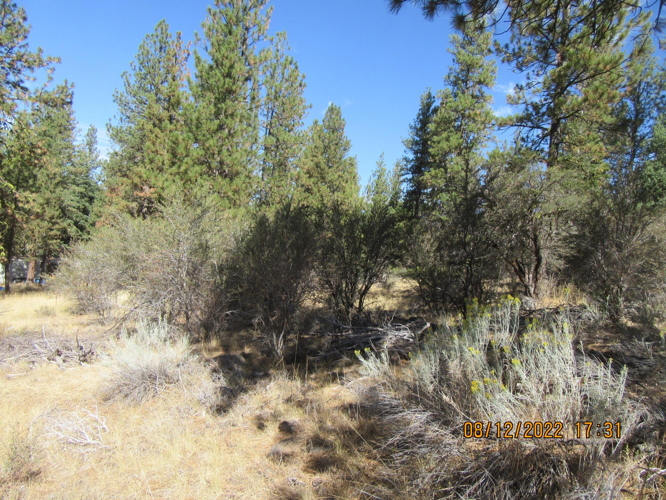 Klamath Falls Forest Estates Hwy 66 Unit Plat 4 - Land