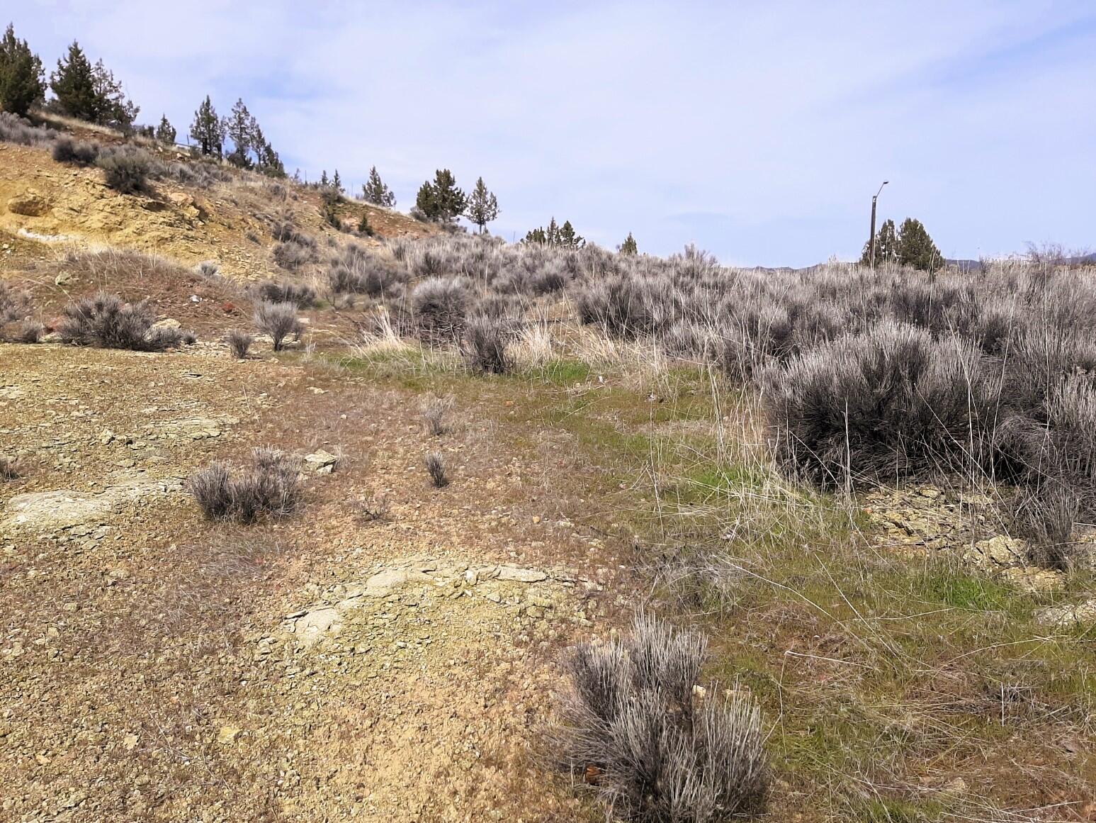 Hunter Heights - Land