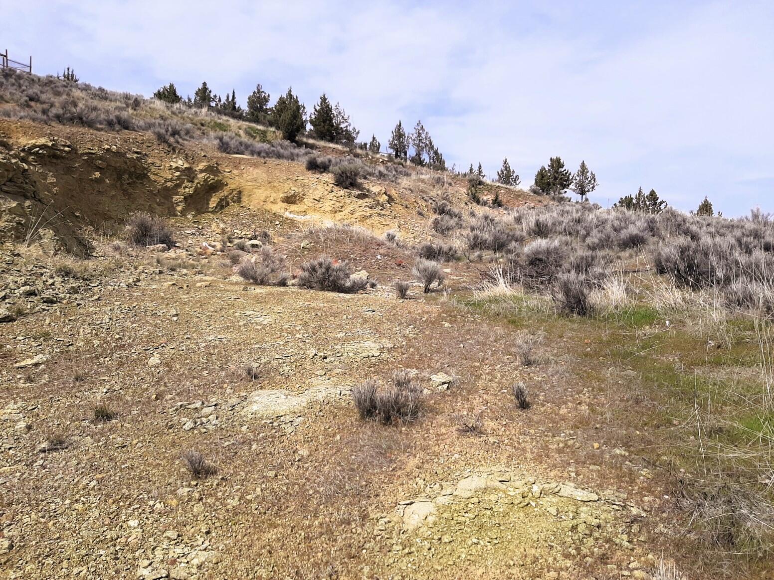 Hunter Heights - Land