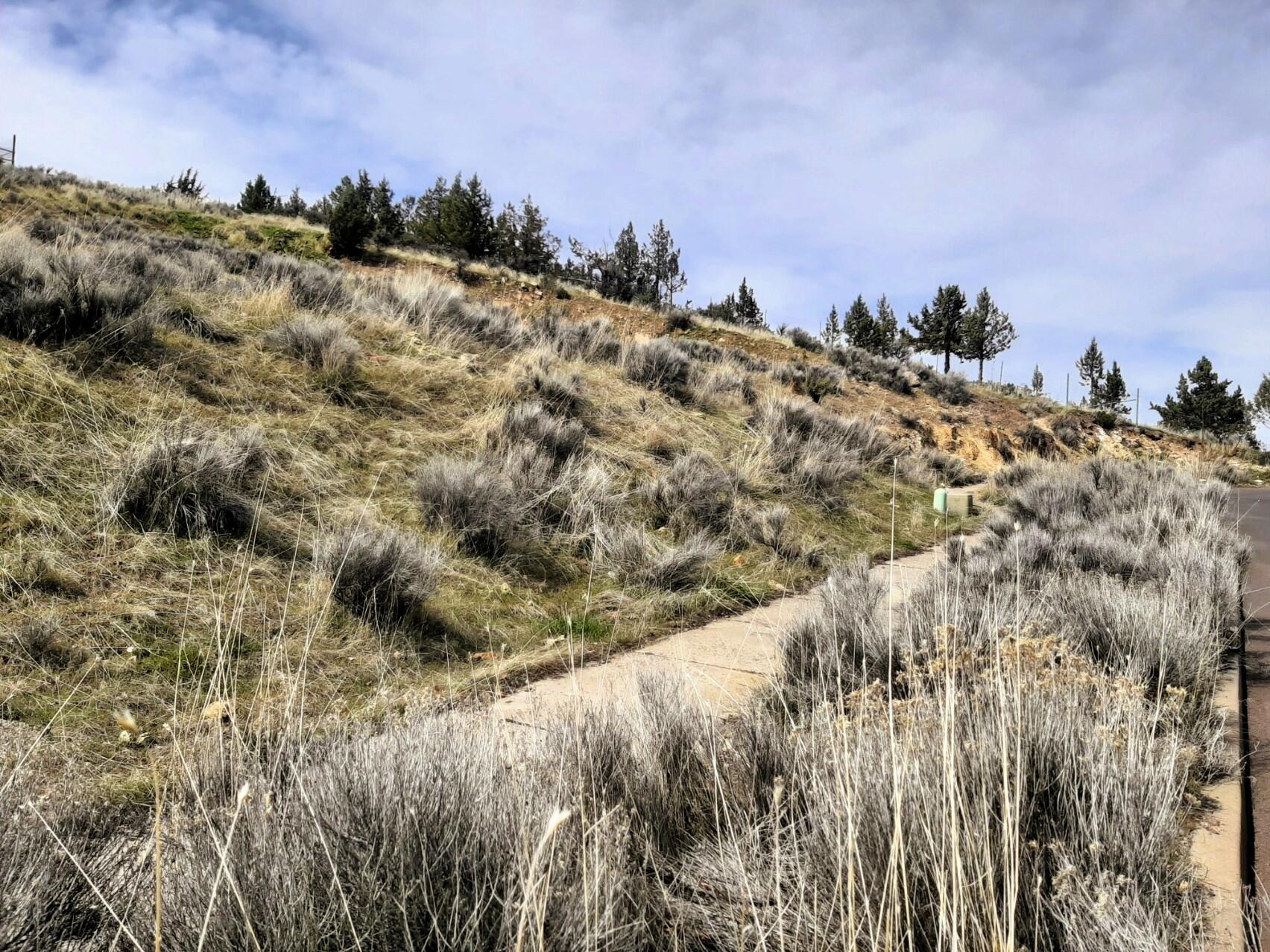 Hunter Heights - Land