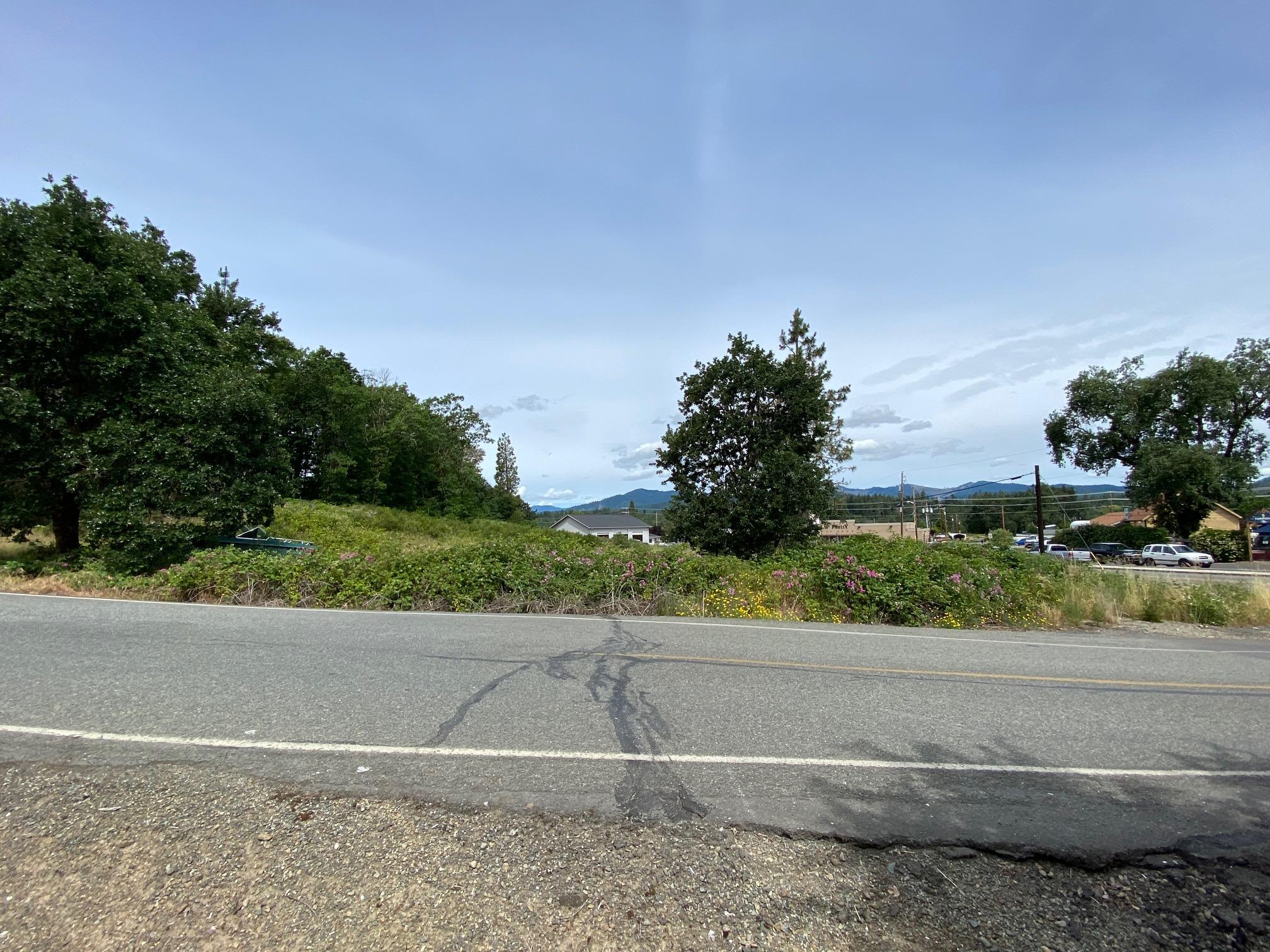 Merlin Townsite - Land