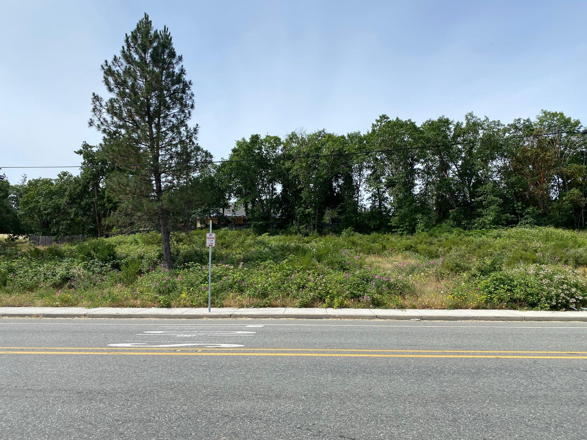 Merlin Townsite - Land