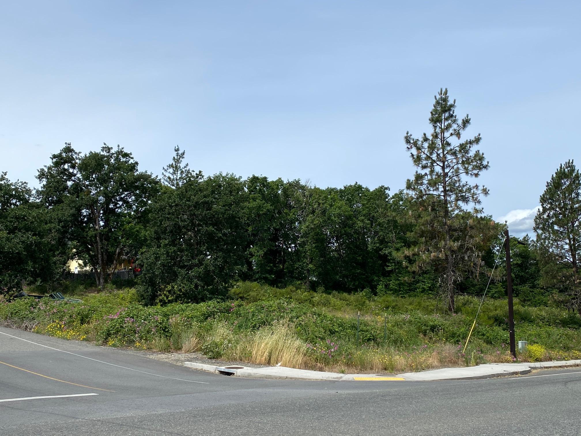 Merlin Townsite - Land