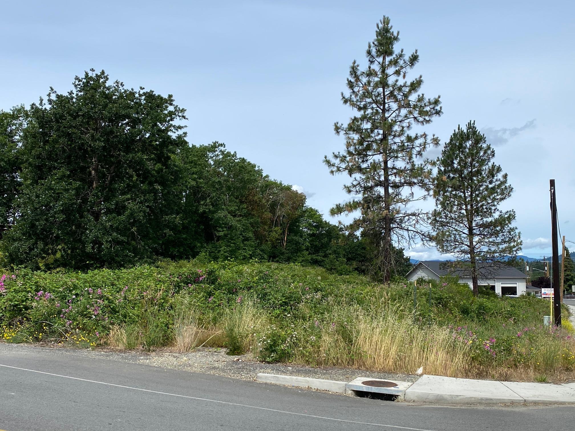 Merlin Townsite - Land