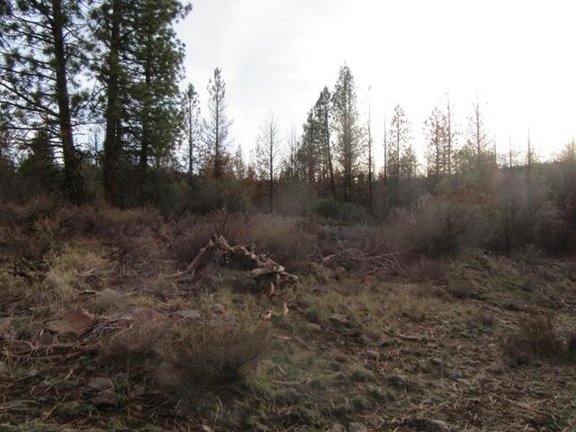 Klamath Falls Forest Estates -Hwy 66 Unit -Plat No. 1 - Land