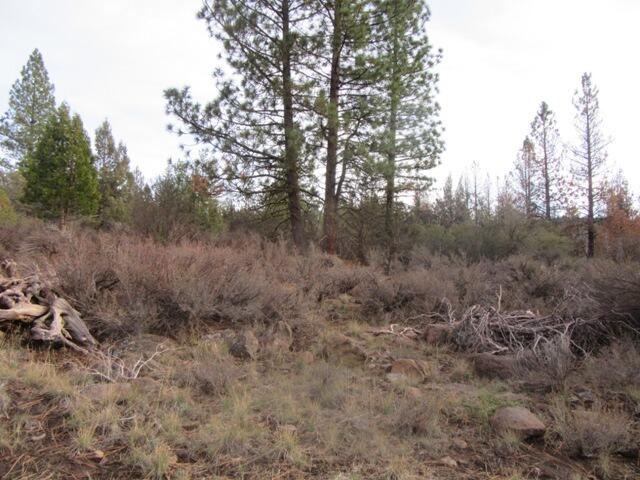 Klamath Falls Forest Estates -Hwy 66 Unit -Plat No. 1 - Land
