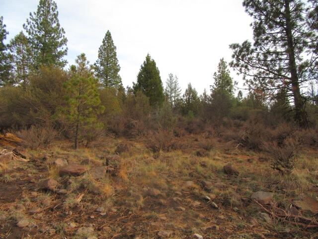 Klamath Falls Forest Estates -Hwy 66 Unit -Plat No. 1 - Land