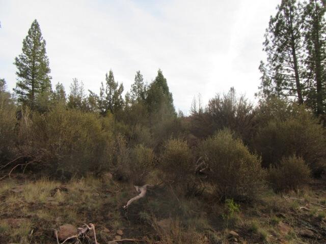 Klamath Falls Forest Estates -Hwy 66 Unit -Plat No. 1 - Land