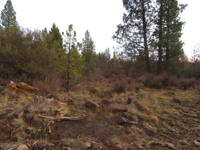 Klamath Falls Forest Estates -Hwy 66 Unit -Plat No. 1 - Land