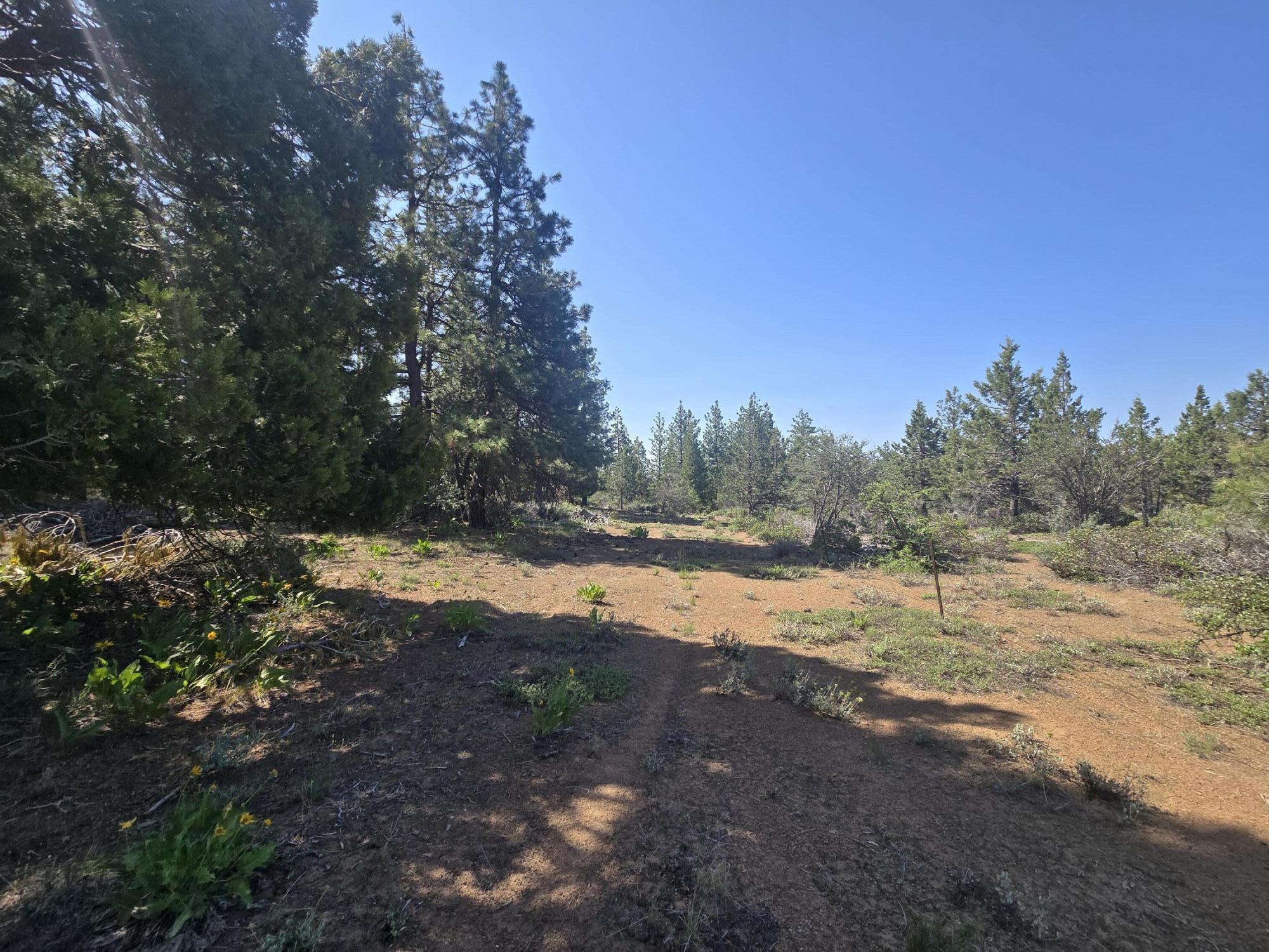 Klamath Falls Forest Estates -Hwy 66 Unit -Plat No. 1 - Land