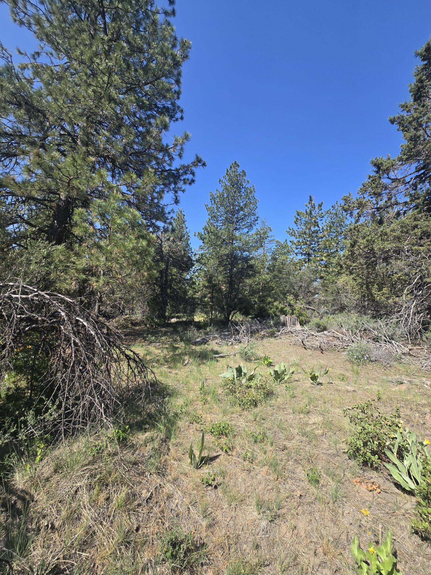 Meadow Lark Drive Lot 12