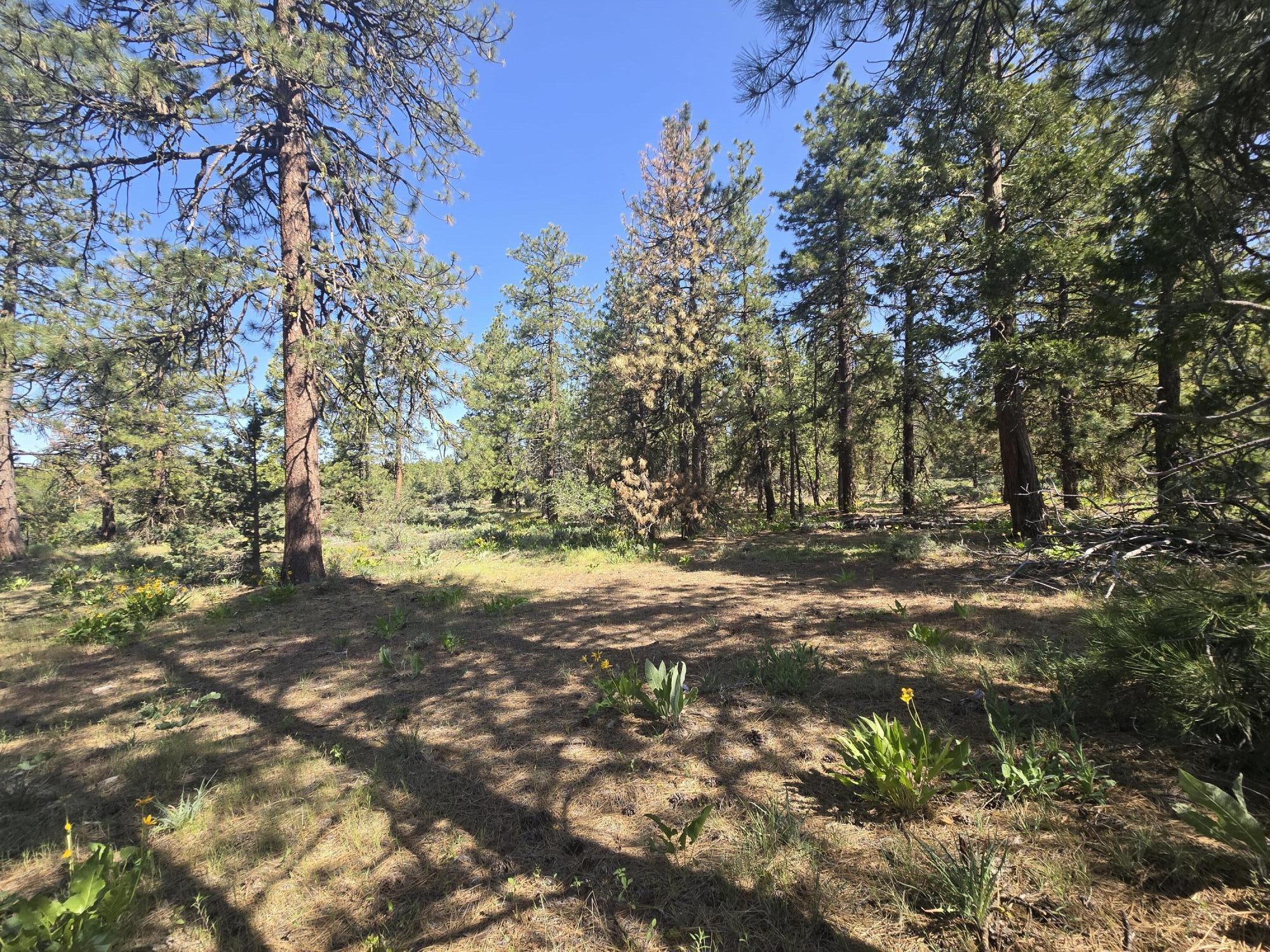 Klamath Falls Forest Estates -Hwy 66 Unit -Plat No. 1 - Land