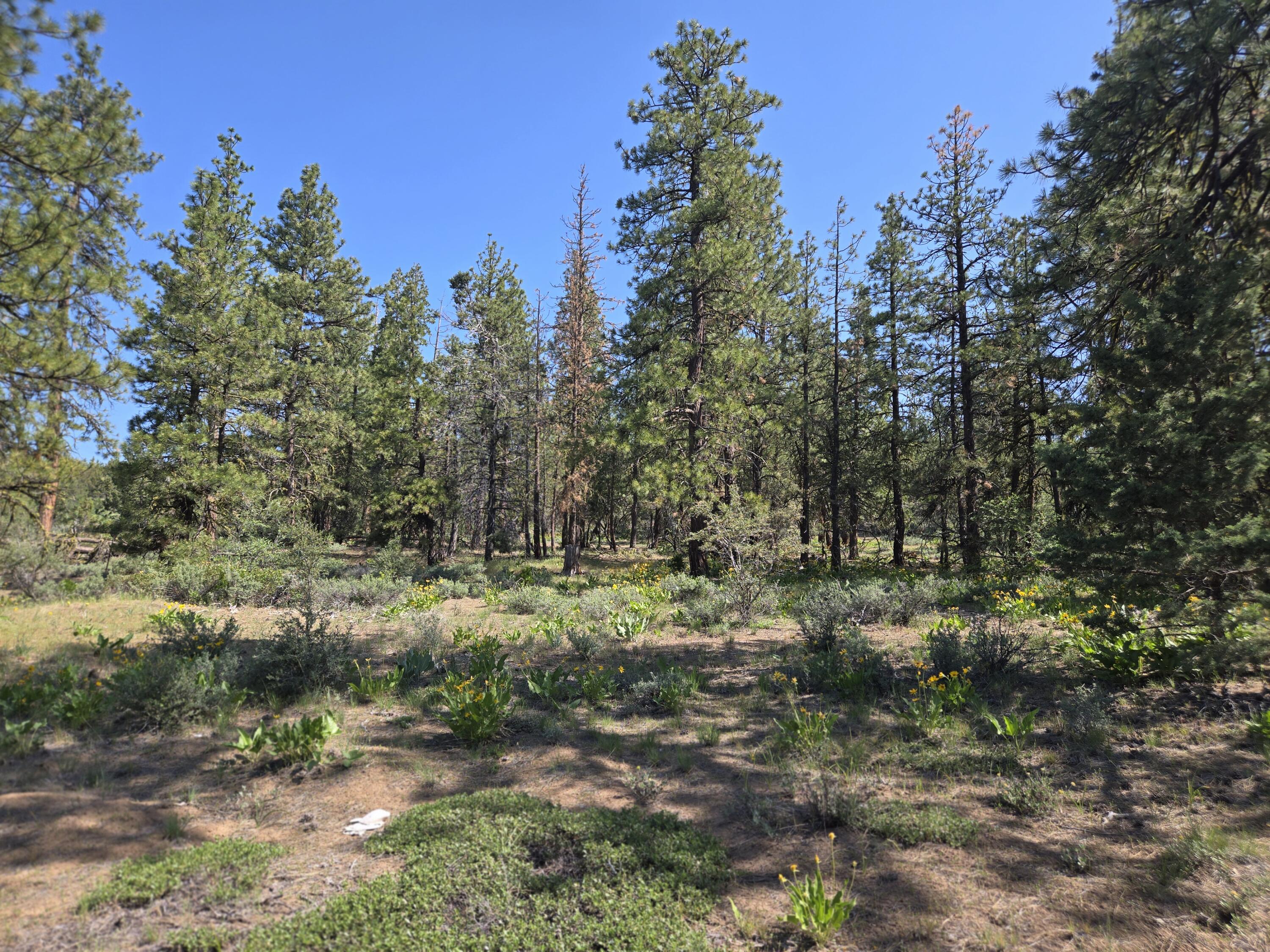 Klamath Falls Forest Estates -Hwy 66 Unit -Plat No. 1 - Land
