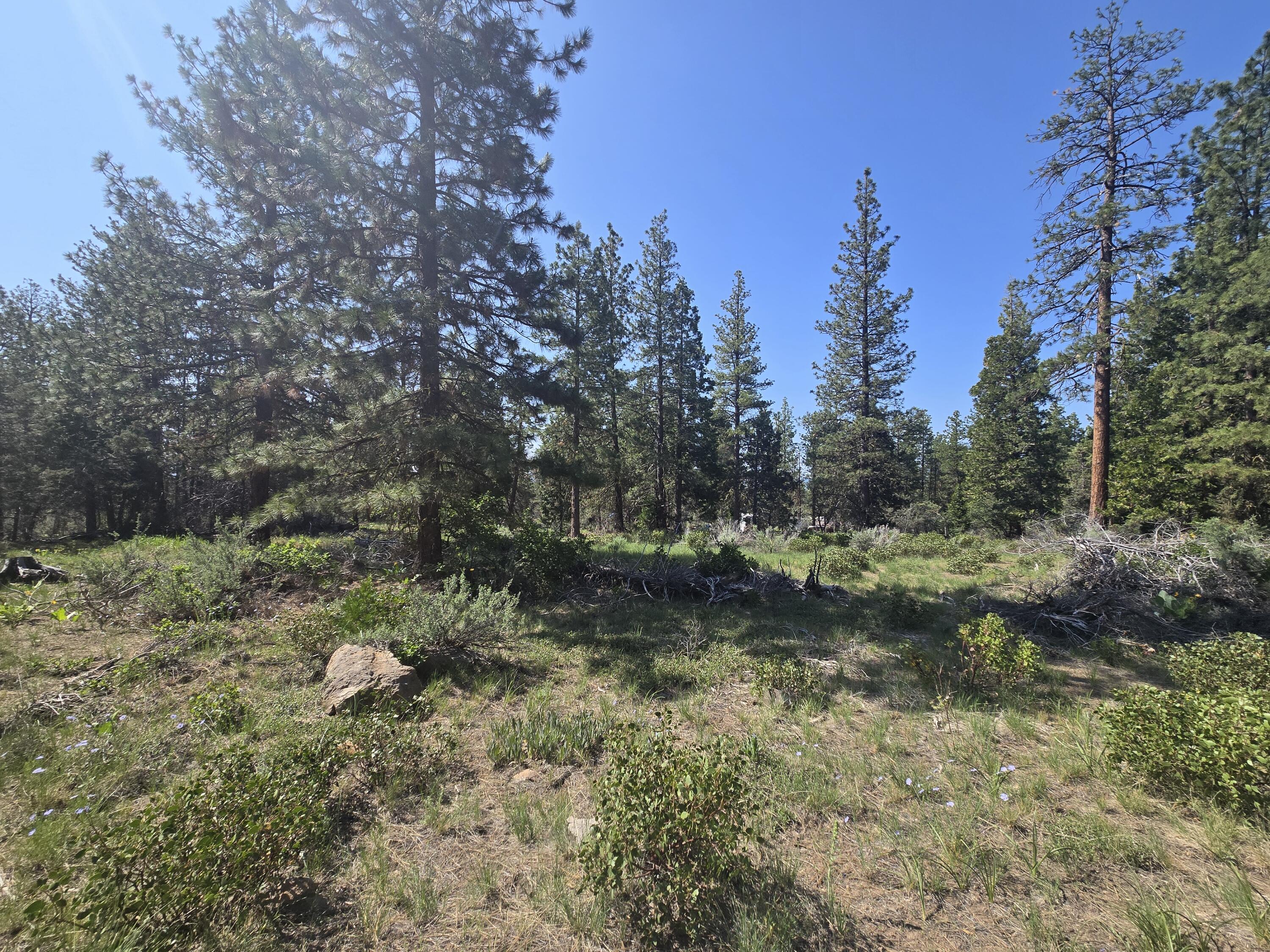 Meadow Lark Drive Lot 12