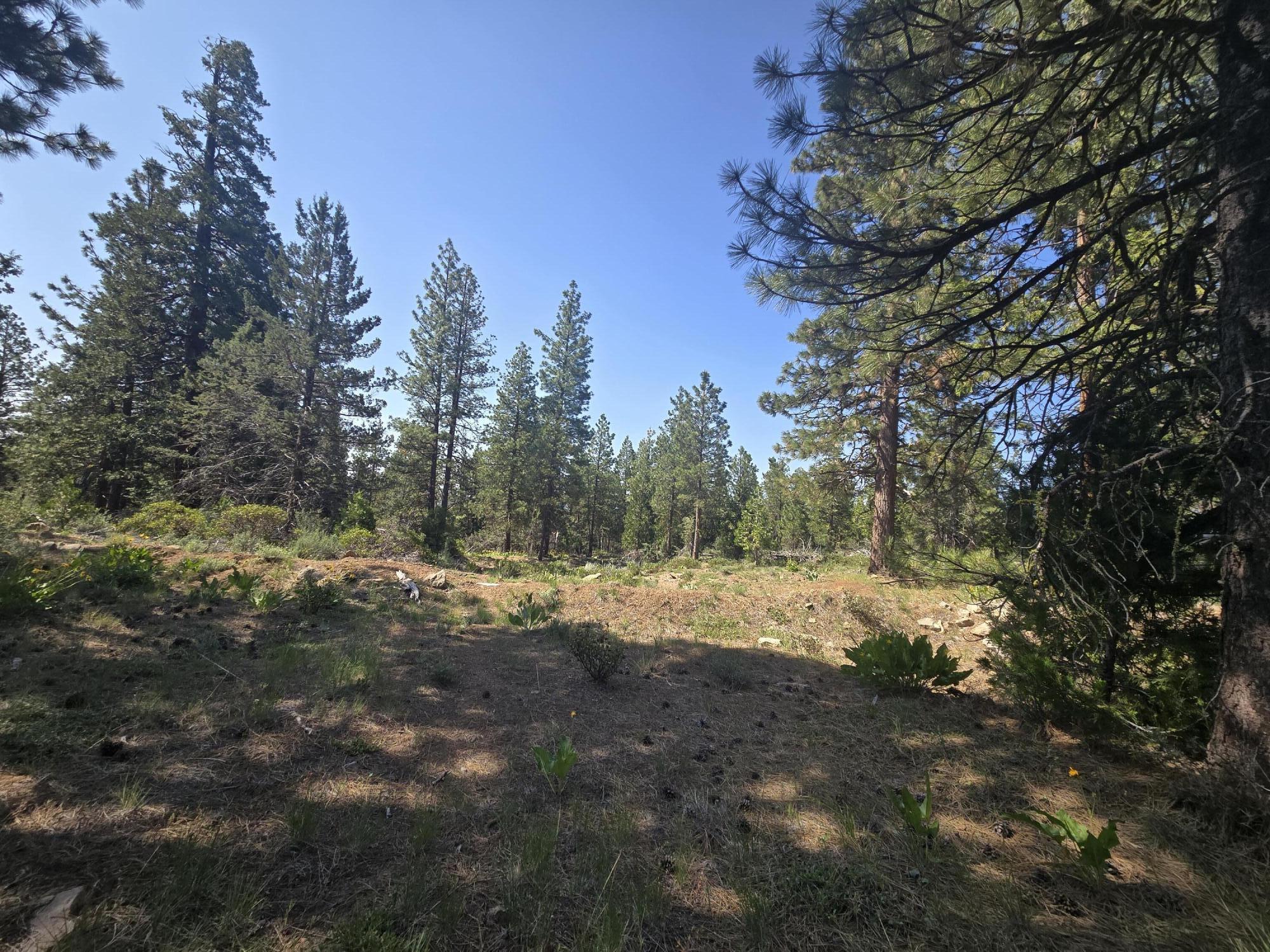Klamath Falls Forest Estates -Hwy 66 Unit -Plat No. 1 - Land